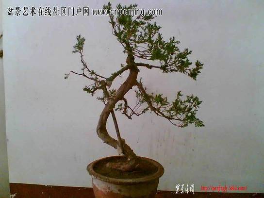 20071220_d3677412cb13deb208177GeiOHPJ6C5s.jpg