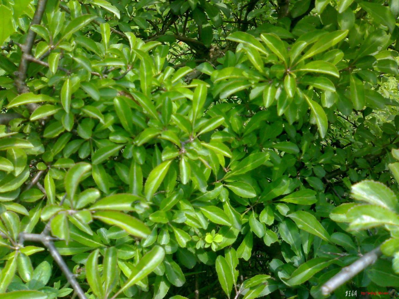 20110722187.jpg