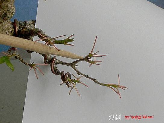 100609-121.jpg