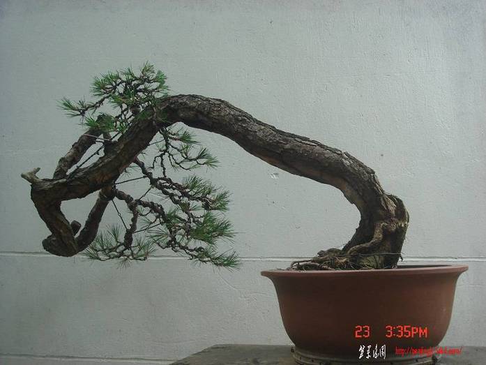 DSC00035.jpg