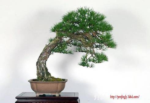 2G7KG2DqzK7.jpg