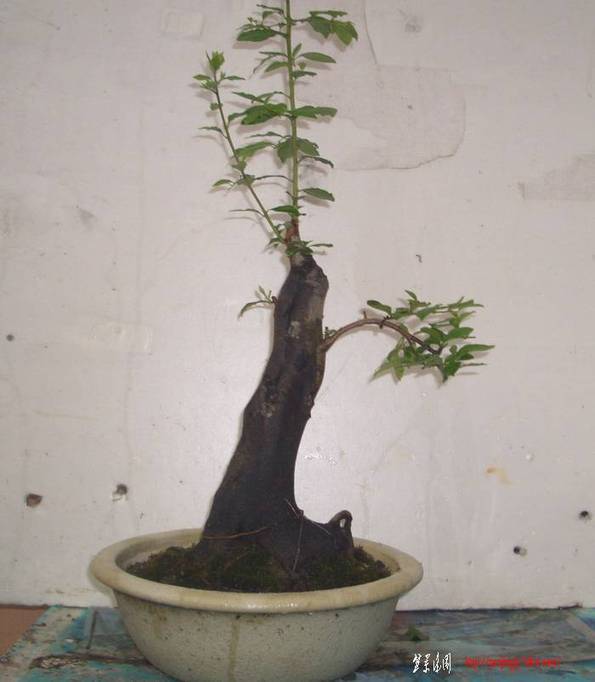 СƷѻ11724.JPG