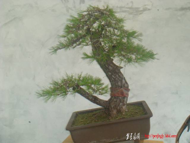 DSC08073.JPG