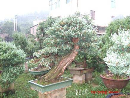 DSCF5947.JPG