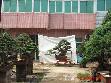 DSCF5924.JPG