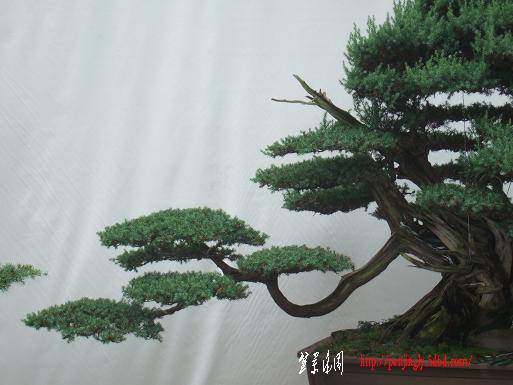 DSCF5901.JPG