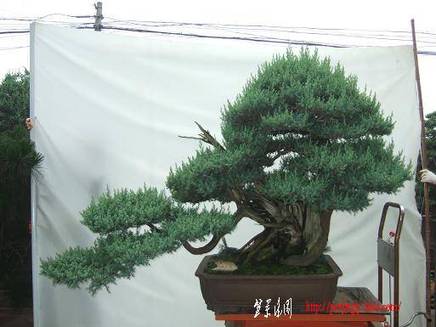 DSCF5889.JPG