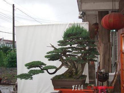 DSCF5912.JPG