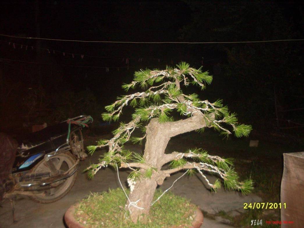 SDC11048.JPG