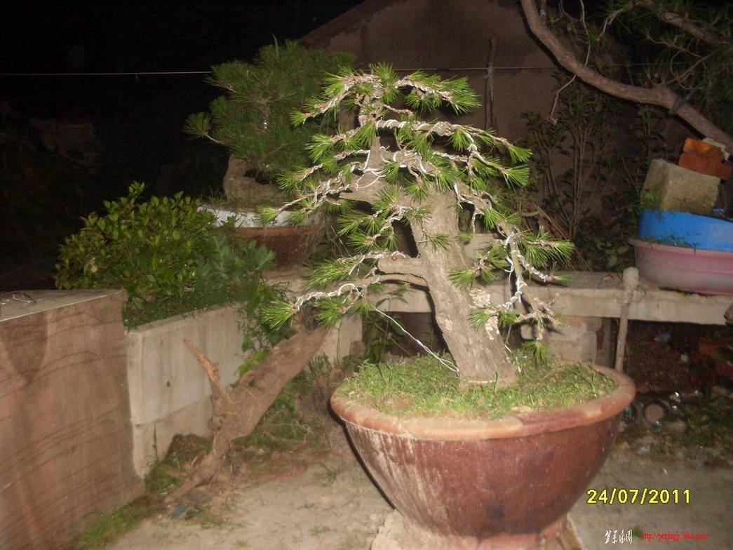 SDC11040.JPG