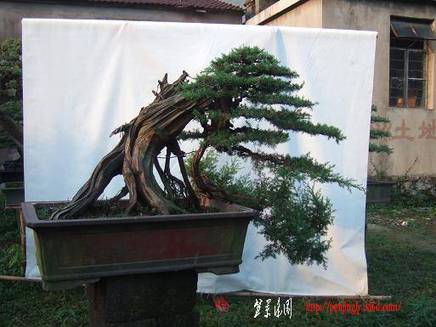DSCF5967.JPG
