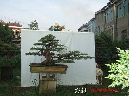 DSCF5977.JPG