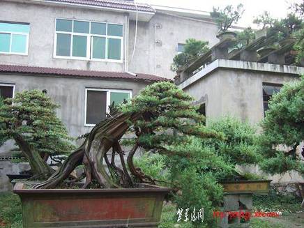 DSCF5966.JPG