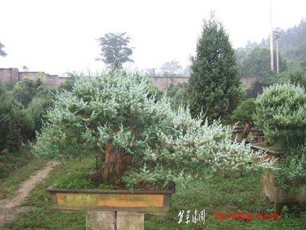 DSCF5948.JPG