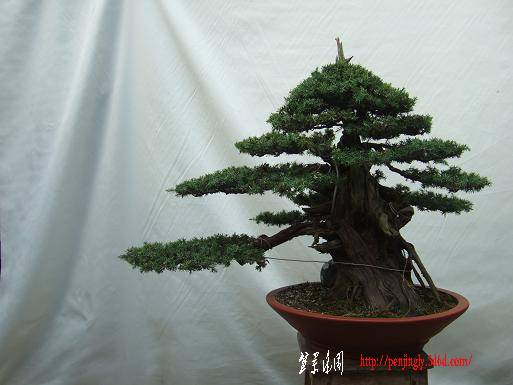 DSCF5982.JPG