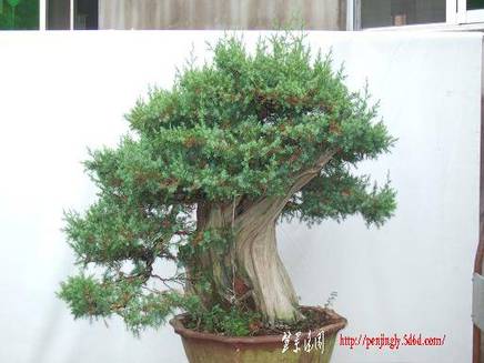 DSCF5975.JPG