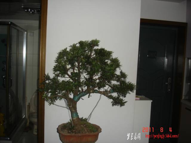 DSC01606.JPG