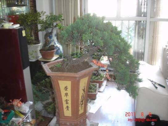 DSC01626.JPG