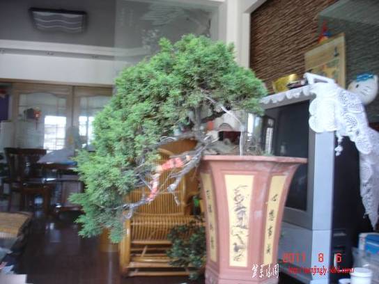 DSC01629.JPG
