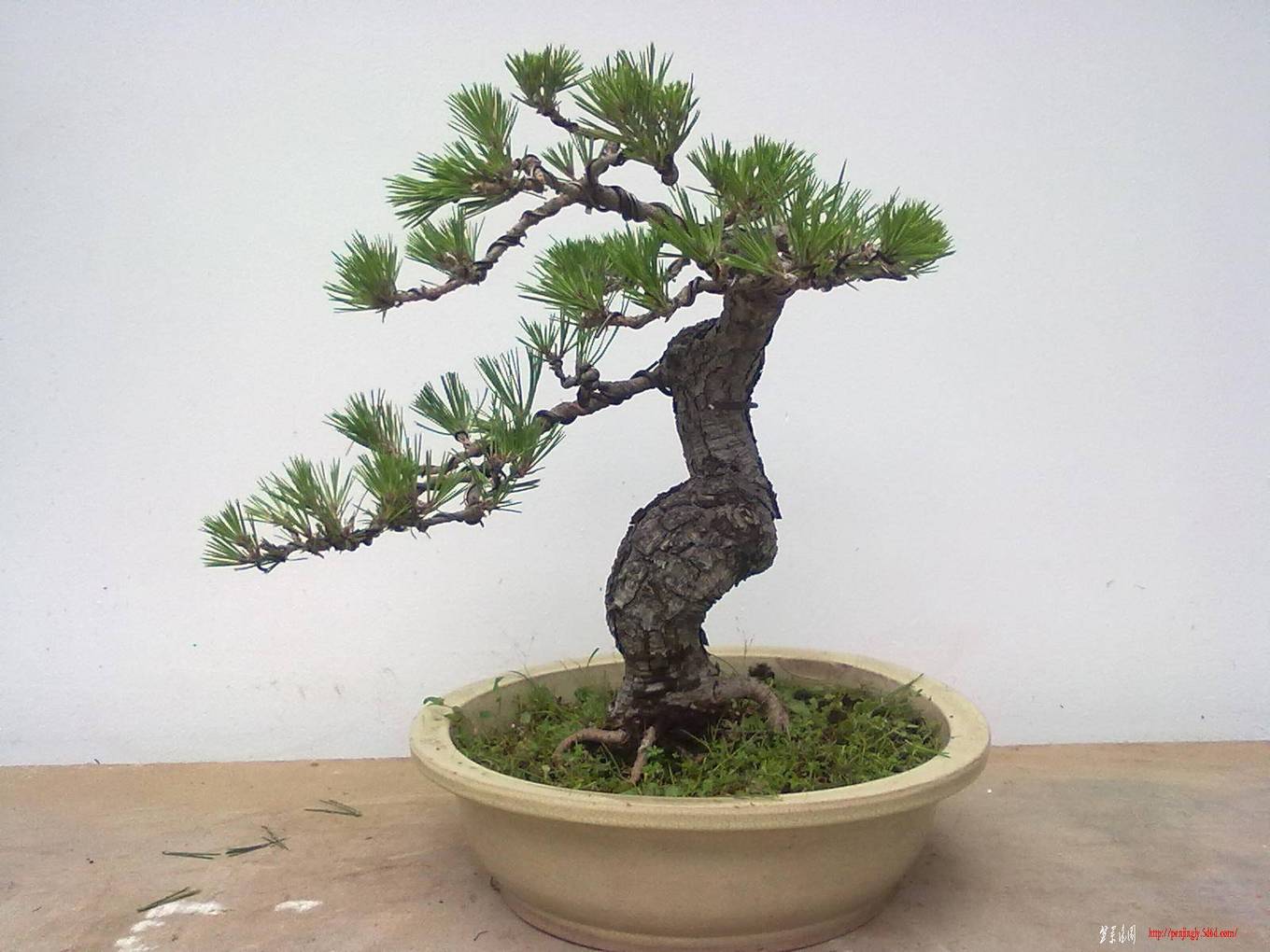 20110811642.jpg