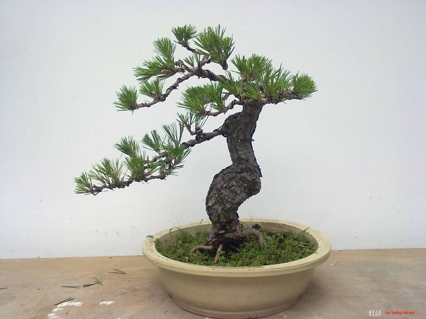 20110811641.jpg