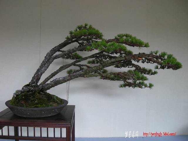 1108_004_3.jpg