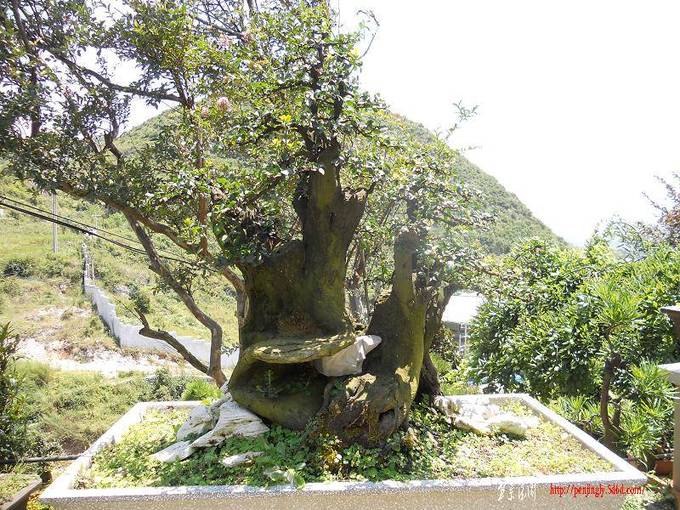 DSCN0307.jpg