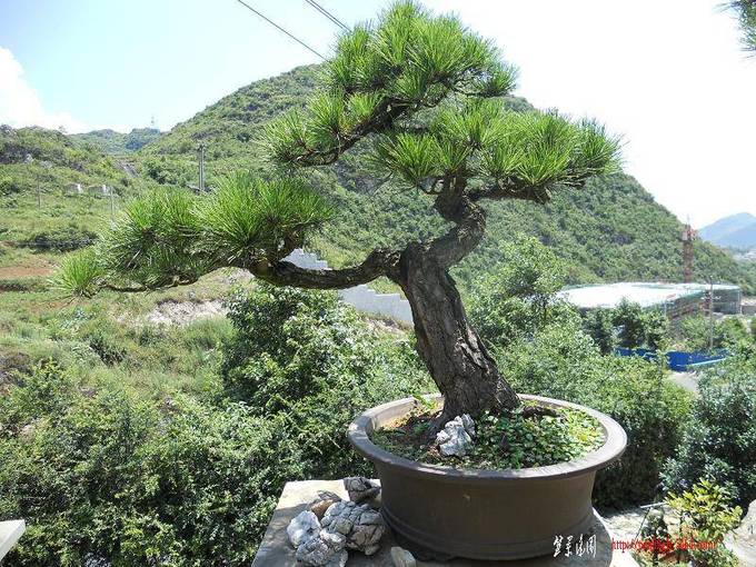 DSCN0301.jpg
