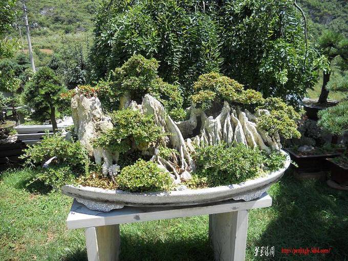 DSCN0332.jpg