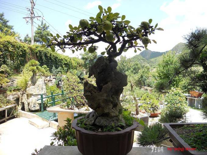 DSCN0320.jpg