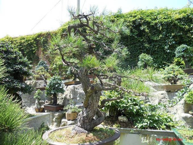 DSCN0328.jpg
