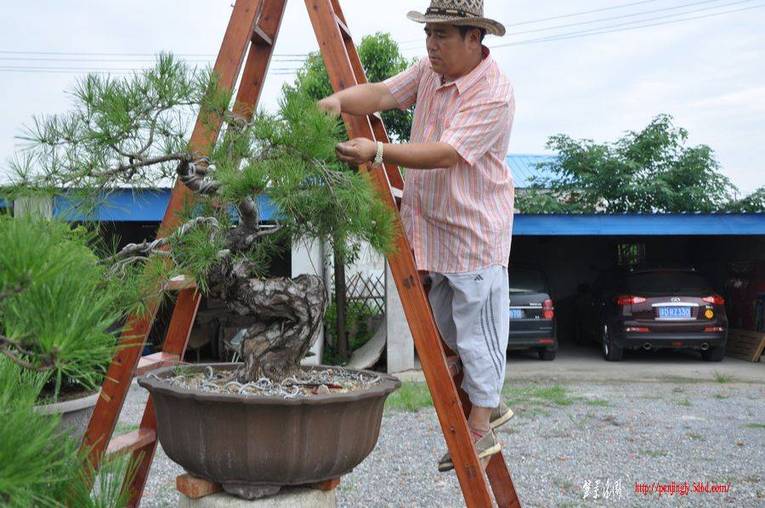Ƭ 089.jpg