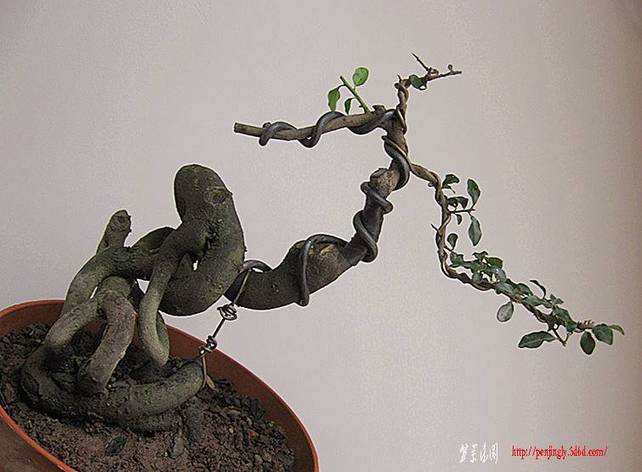 辰 023__.jpg