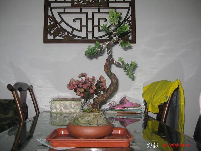 ޺1.jpg