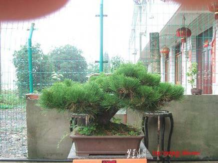 DSCF6057.JPG
