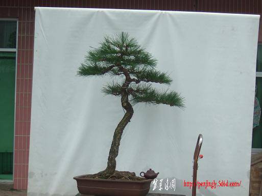 DSCF6052.JPG