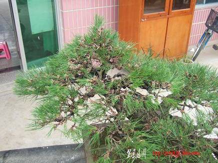 DSCF6067.JPG