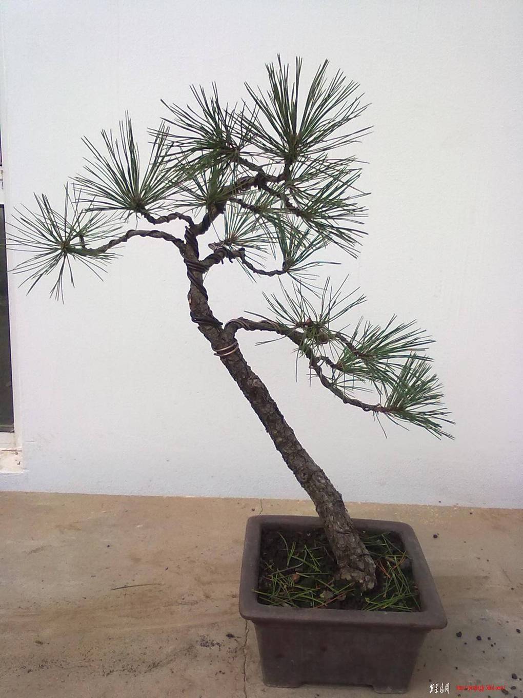 20110831697.jpg