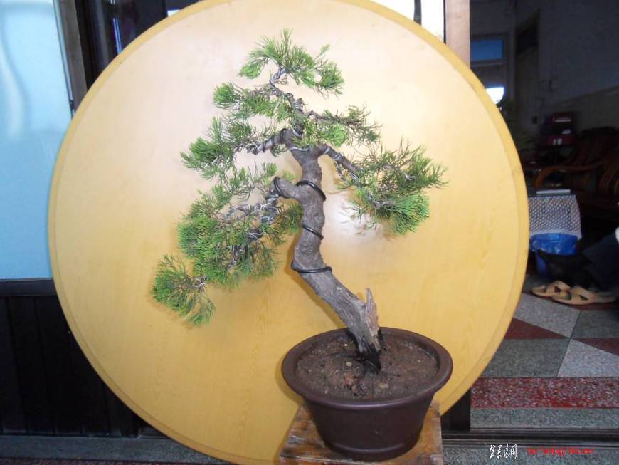 SDC15585.JPG