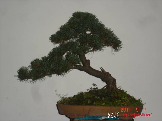 DSC01651.JPG