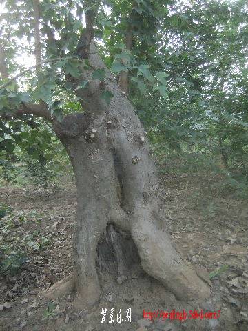 2011_09080135.JPG