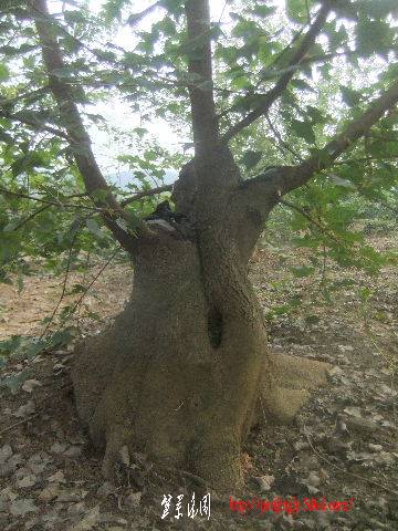 2011_09080132.JPG
