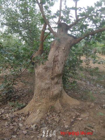 2011_09080129.JPG