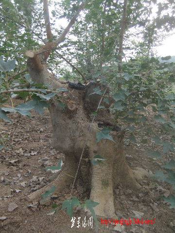 2011_09080126.JPG
