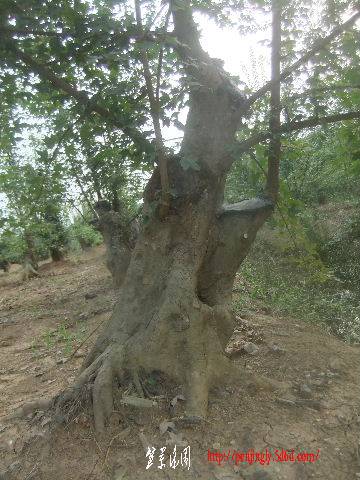 2011_09080142.JPG
