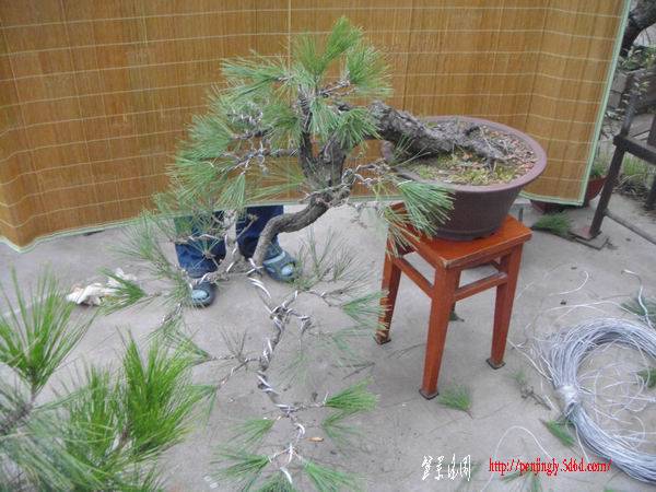 DSC00460.JPG