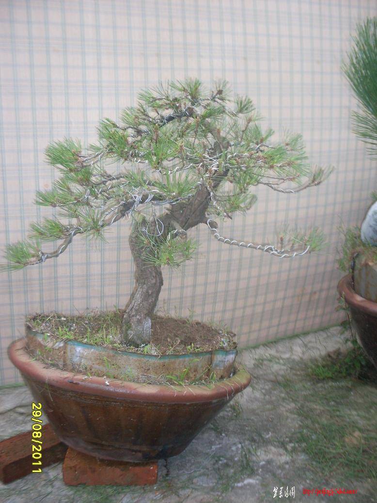 SDC10221.JPG