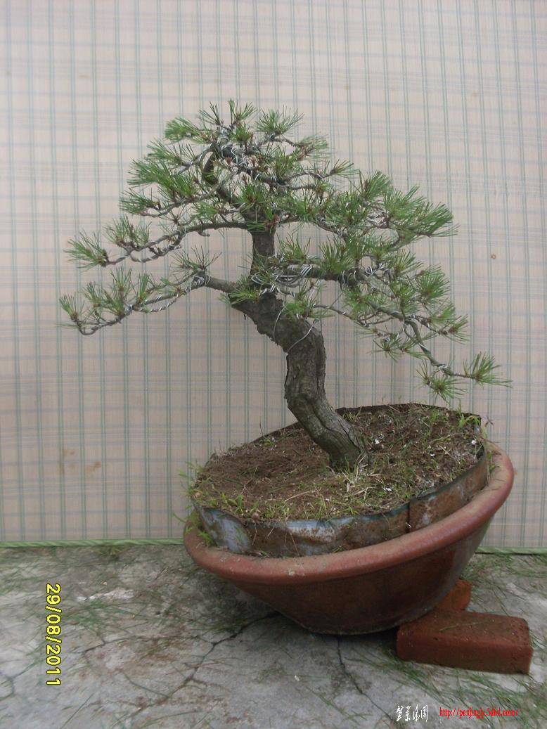 SDC10208.JPG