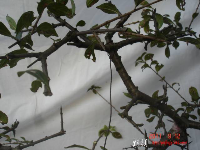 DSC01673.JPG