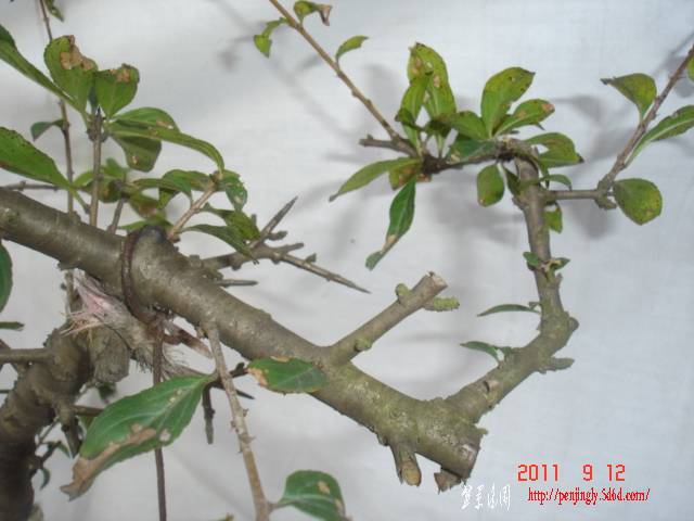 DSC01676.JPG